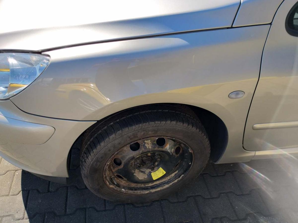 Peugeot 307 original Kotflügel vorn links ETS Aschgrau Bj.2004